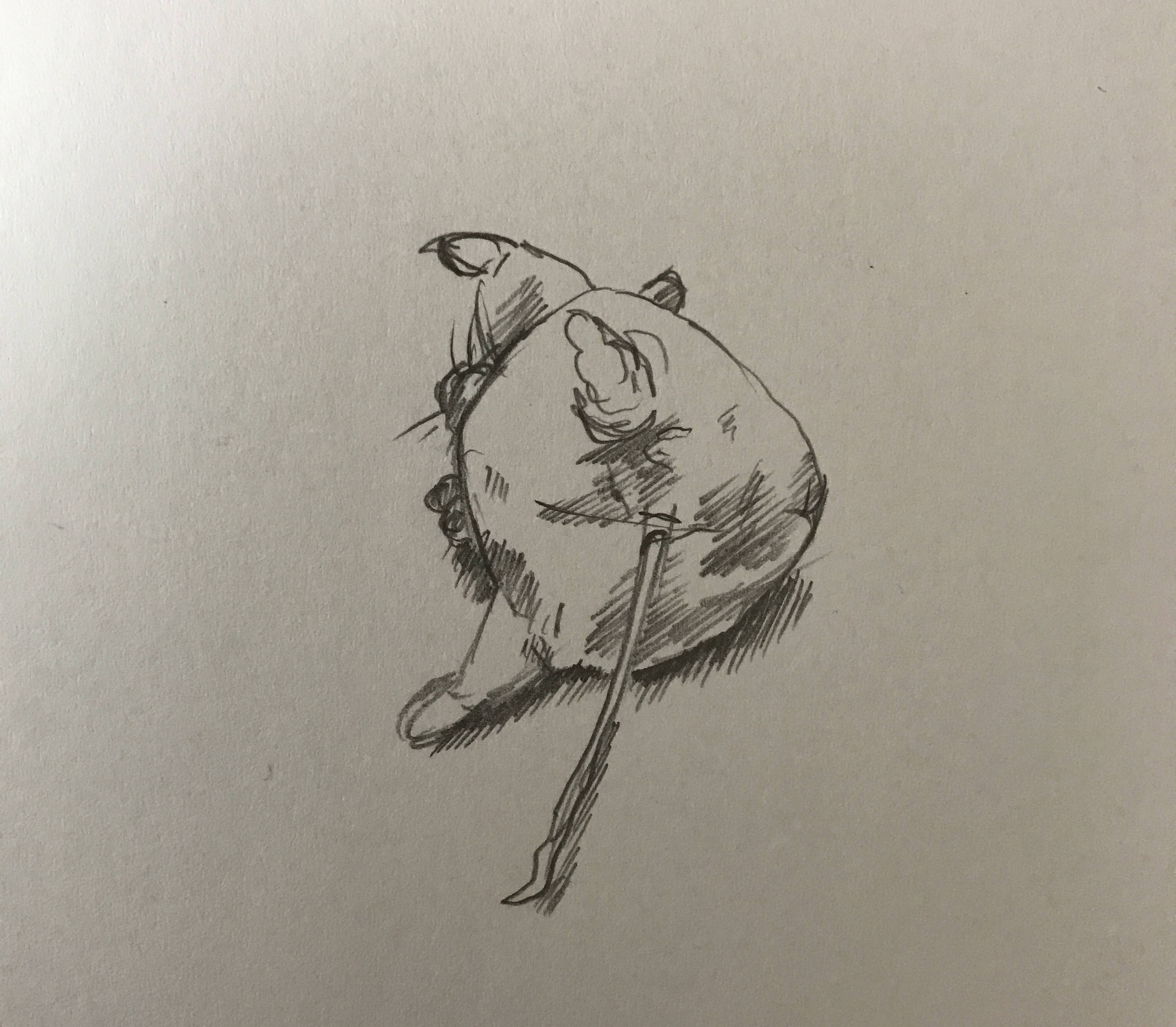 Pencil drawing of a stuffed rat toy.